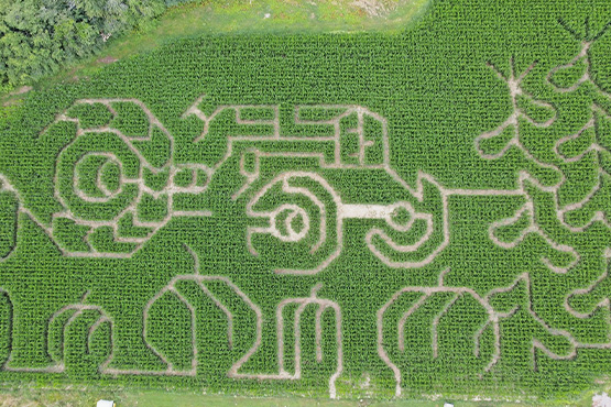 aerial of corn maze