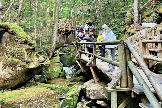 people on wooden bridge in middle of woods