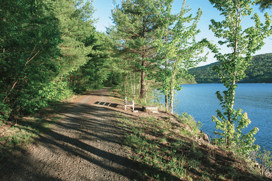dirt trail alongside lake