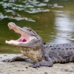 Lakes Region Tourism