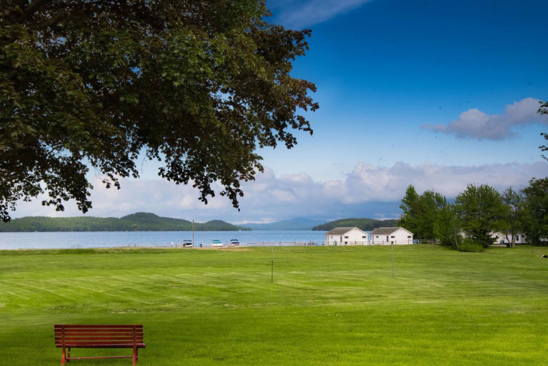 grassy area overlooking lake under a tree