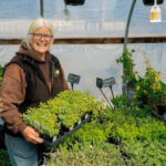 Lakes Region Tourism