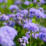 Lakes Region Tourism