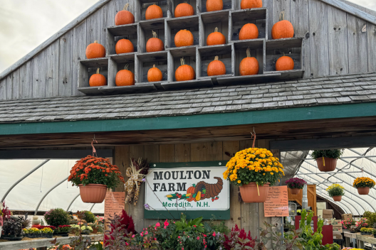 Lakes Region Tourism